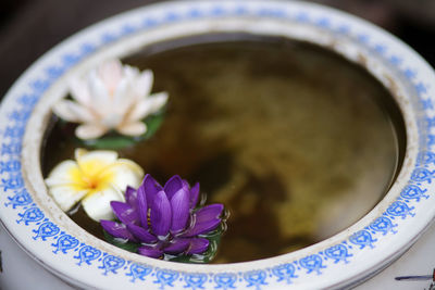 Close-up of purple flowers in bowl