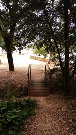 Bench in park