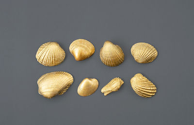 Golden shells arranging on grey.