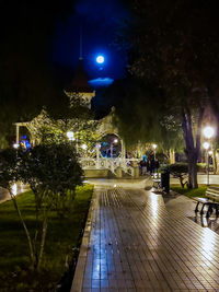 Illuminated street lights by trees in city at night