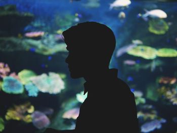 Close-up of silhouette man in aquarium