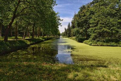 Scenic view of river