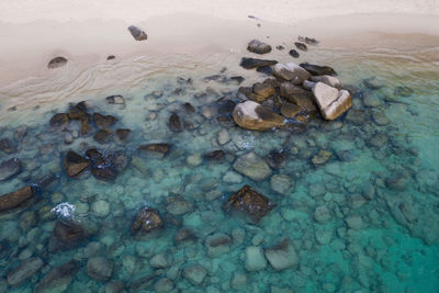 High angle view of stones in sea