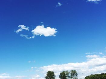 Low angle view of trees against blue sky