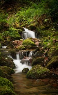 Waterfall in forest