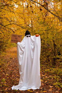 Rear view of woman standing in forest