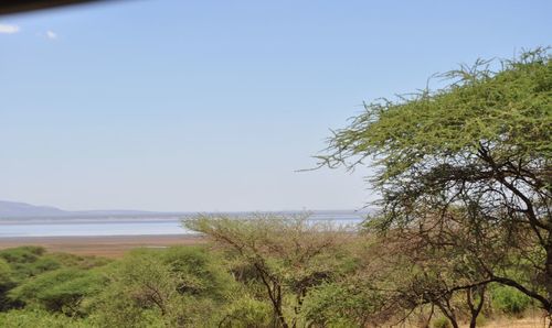 Scenic view of sea against clear sky