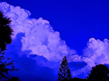 Low angle view of trees against blue sky