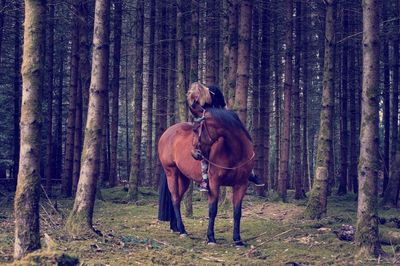 Woman riding horse amidst tree trunks in forest