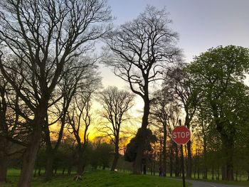 Road sign by bare trees against sky