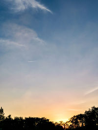 Low angle view of silhouette trees against sky during sunset