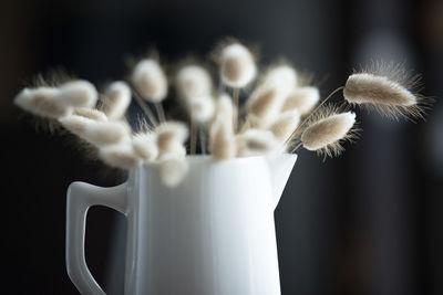 Close-up of white flower vase against black background