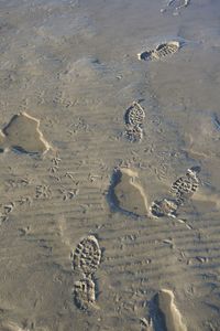 High angle view of footprints on sand at beach