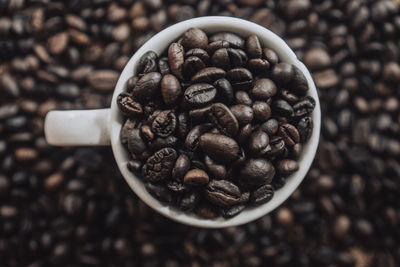 Close-up of coffee beans