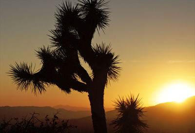 Silhouette palm tree against romantic sky at sunset