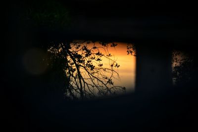 Silhouette tree against sky during sunset