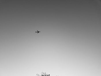 Low angle view of airplane flying in sky