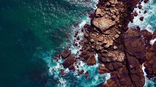 Rocks by the ocean in sunny sri lanka