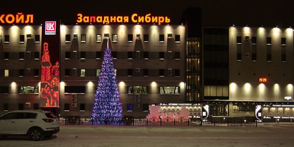 Illuminated sign on street in city at night