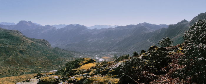 Alpine tundra bushes and landscape near bum la pass in tawang, arunachal pradesh, north east india