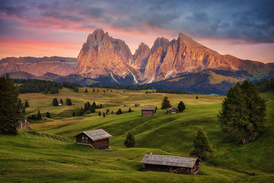 Scenic view of field against sky during sunset