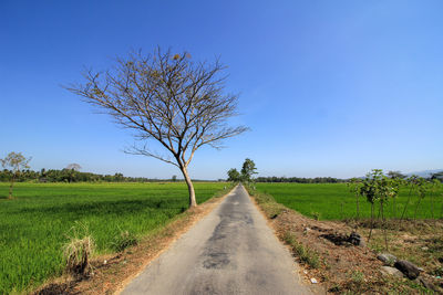 View of empty road along landscape