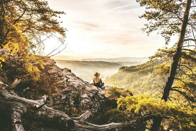 People sitting on tree by mountain against sky