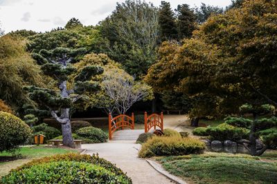Trees by plants against sky
