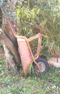 Abandoned umbrella on grass