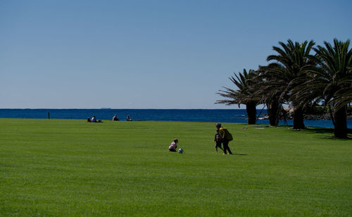 People on field against clear sky