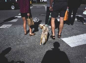Low section of people standing on street