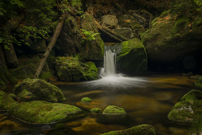 Scenic view of waterfall in forest