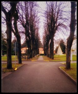 Road amidst bare trees against sky