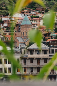 Buildings in city