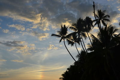 Low angle view of silhouette palm trees against sky at sunset