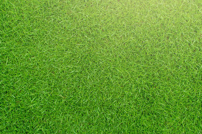 Full frame shot of soccer field