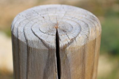 Close-up of wooden post