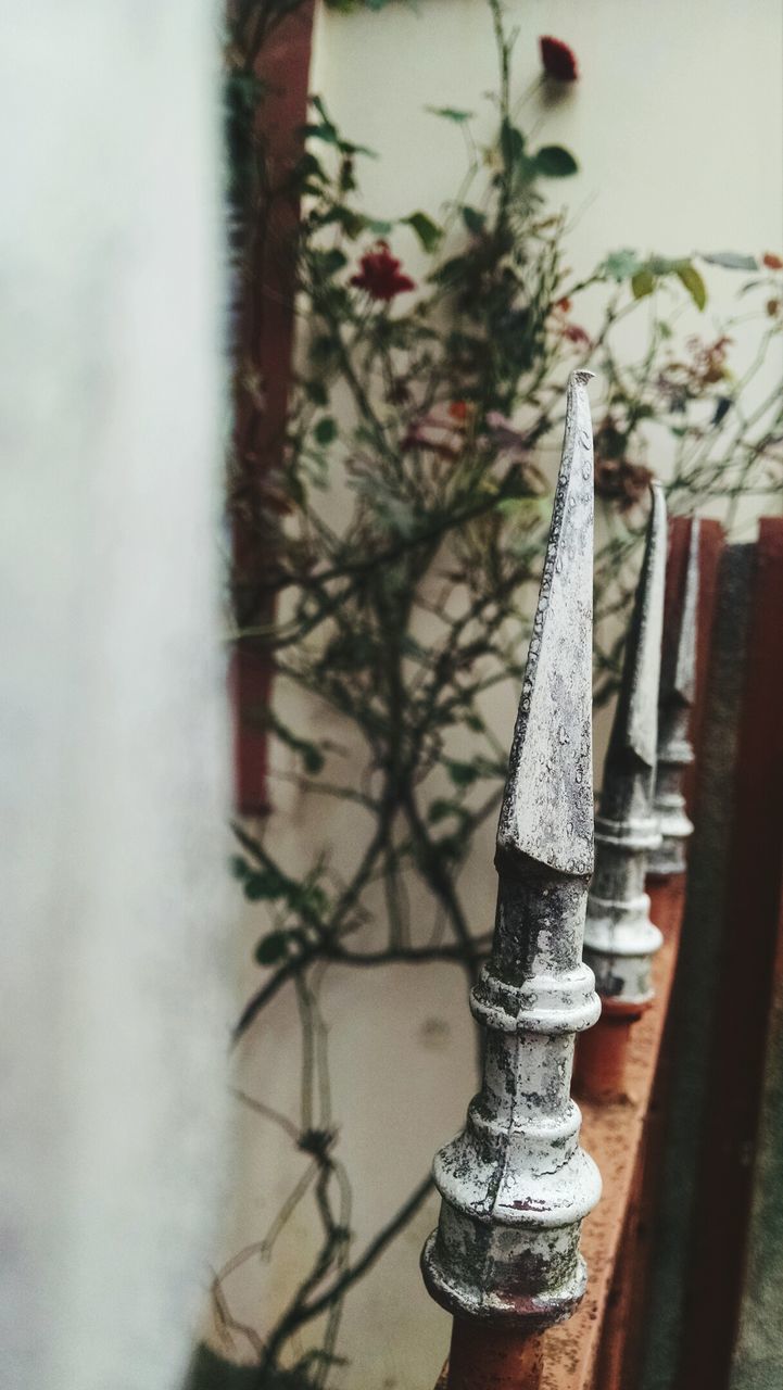 focus on foreground, close-up, metal, indoors, wall - building feature, selective focus, day, no people, potted plant, wood - material, plant, wall, home interior, metallic, built structure, hanging, old, house, architecture