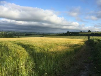 Scenic view of field against cloudy sky