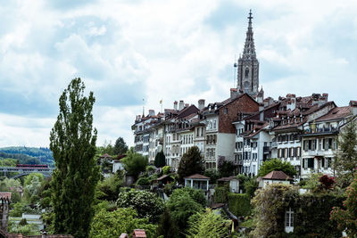 Panoramic view of buildings and trees against sky