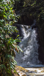 Scenic view of waterfall in forest