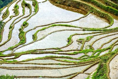 High angle view of leaf