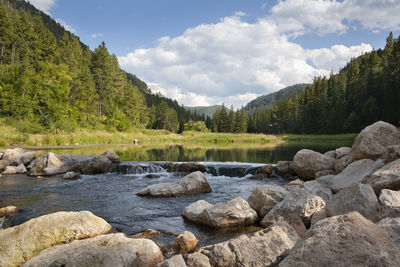 Scenic view of river amidst trees against sky