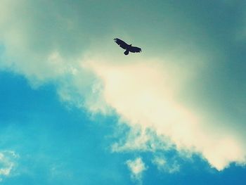 Low angle view of bird flying against sky