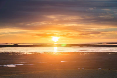 Scenic view of sea at sunset