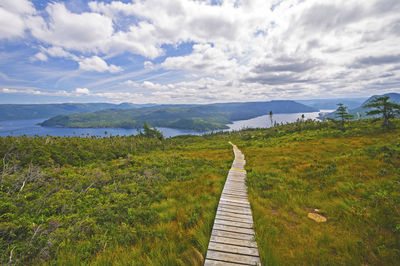 Heading down the signal hill trail to bonne bay in gros morne national park