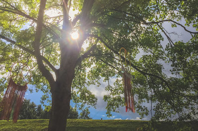 Low angle view of trees against sky