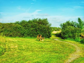 Scenic view of grassy field against sky