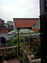 Plants in city against sky