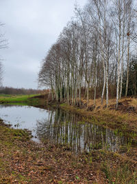 Scenic view of lake in forest against sky